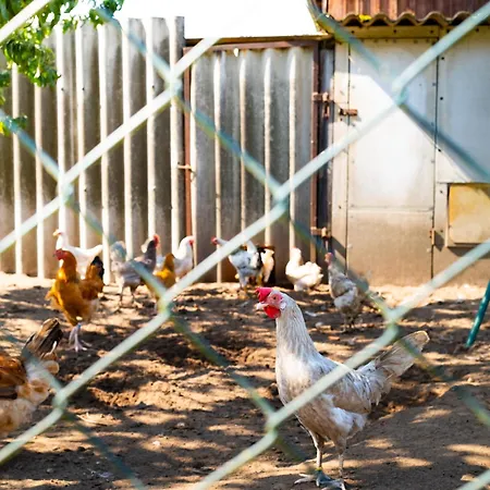 Maisonette Im Haus Liane - By Baltic דירה