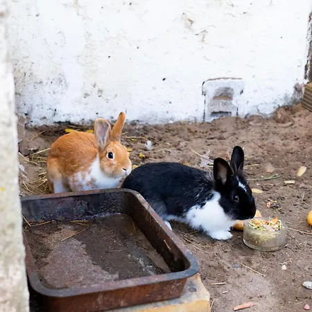 Maisonette Im Haus Liane - By Baltic *