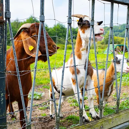 Maisonette Im Haus Liane - By Baltic Διαμέρισμα