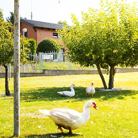 Διαμέρισμα Maisonette Im Haus Liane - By Baltic